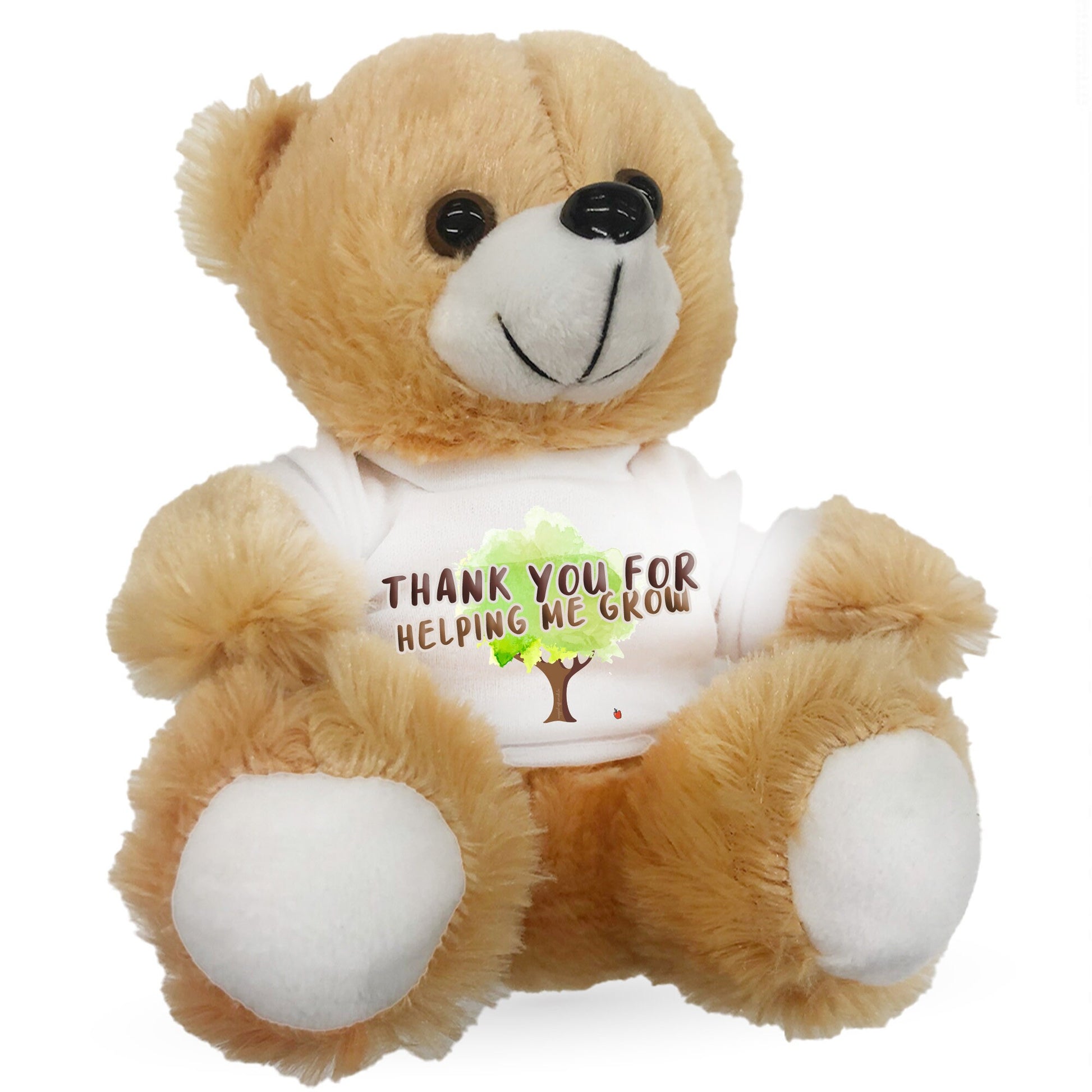 Thank you store teddy bear gifts